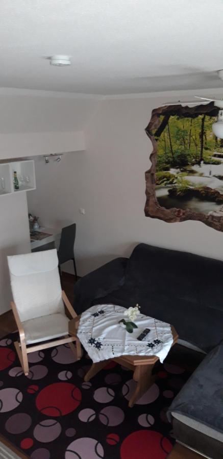 Ferienapartment-Monteurwohnung-Muldestausee Pouch エクステリア 写真
